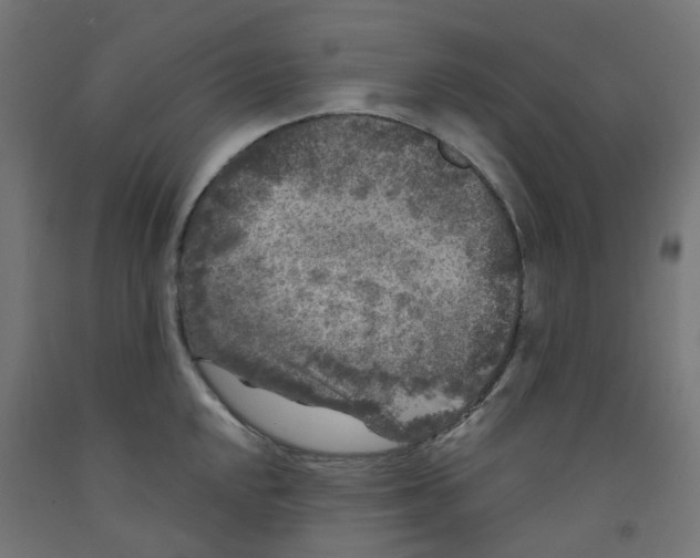 X0000091891048200710031758