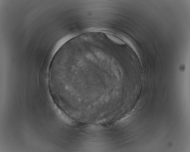 X0000091891050200710031758
