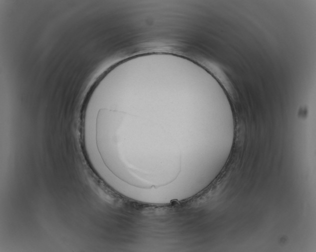 X0000091891051200710031758