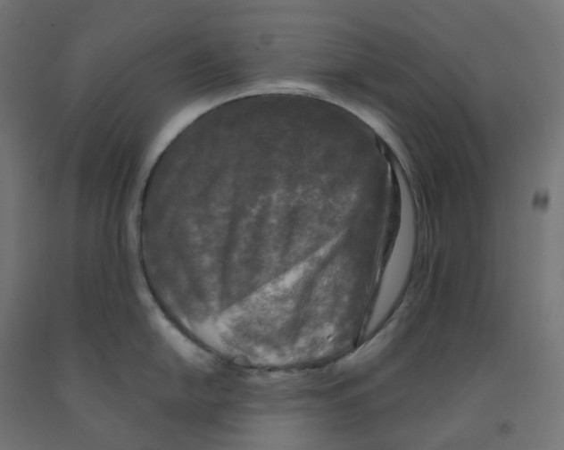 X0000091891054200710031758