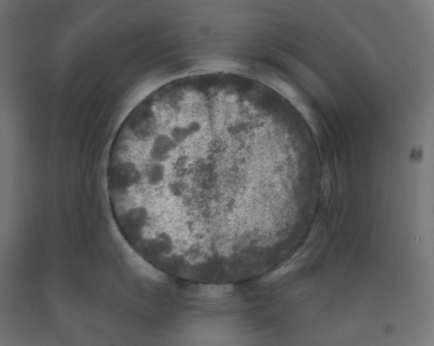 X0000091891055200710031758