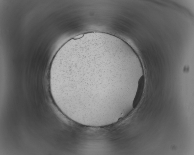 X0000091891056200710031758