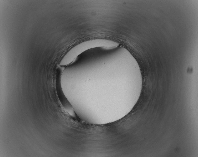 X0000091891058200710031757