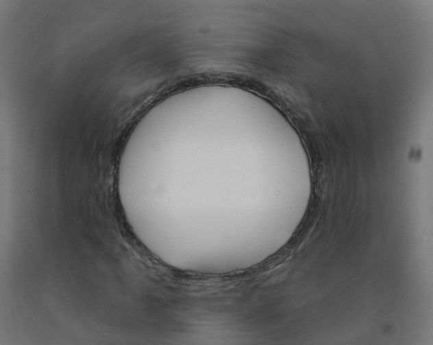 X0000091891061200710031757