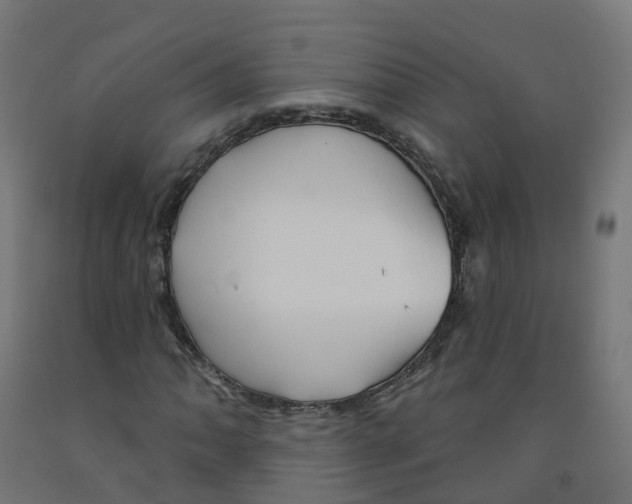 X0000091891062200710031757
