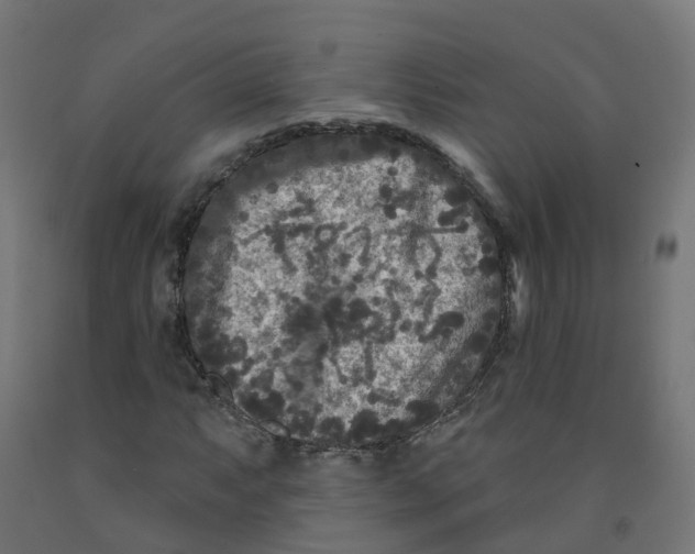 X0000091891063200710031757