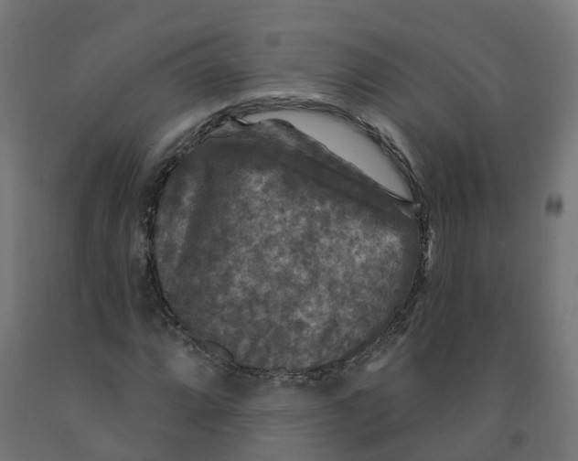 X0000091891064200710031757