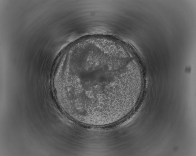 X0000091891065200710031757