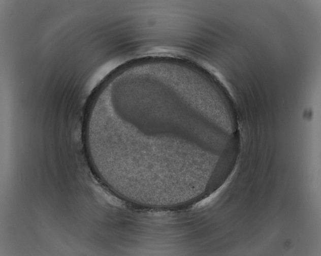 X0000091891066200710031757