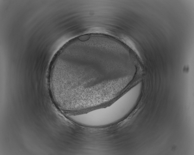 X0000091891068200710031757