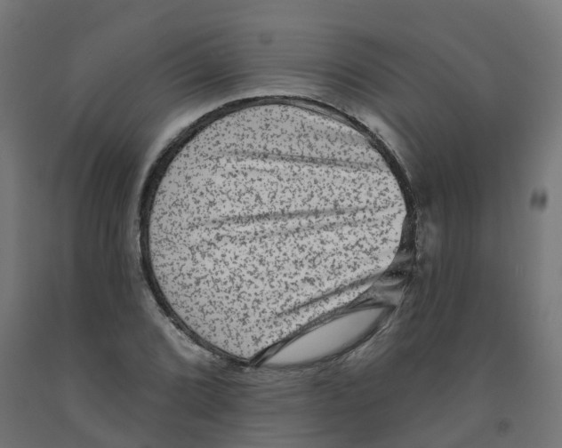 X0000091891072200710031757
