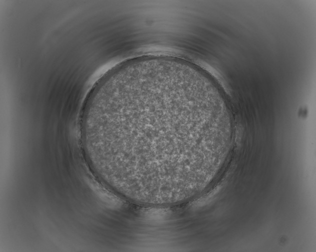 X0000091891074200710031757