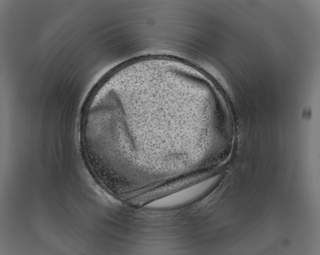 X0000091891076200710031757
