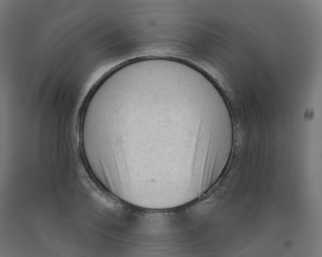 X0000091891078200710031757