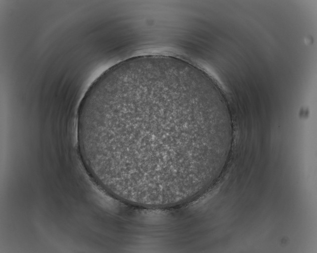 X0000091891079200710031757