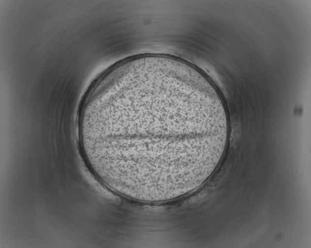 X0000091891080200710031757