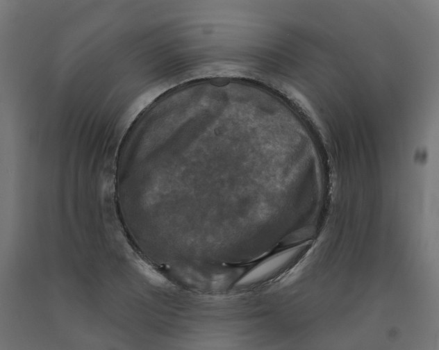 X0000091891081200710031757