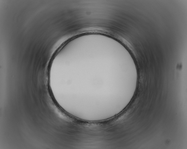 X0000091891082200710031757
