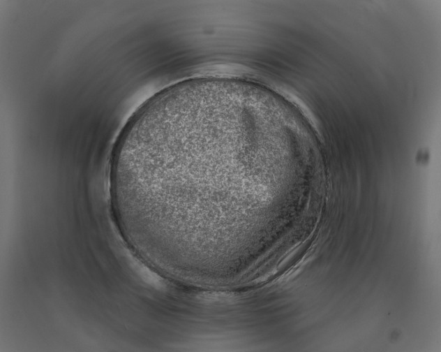 X0000091891083200710031757