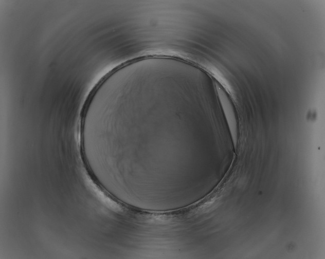X0000091891084200710031757