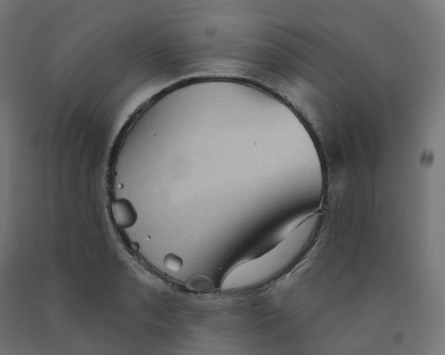 X0000091891085200710031757