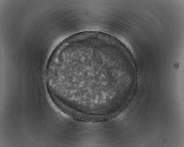 X0000091891088200710031757