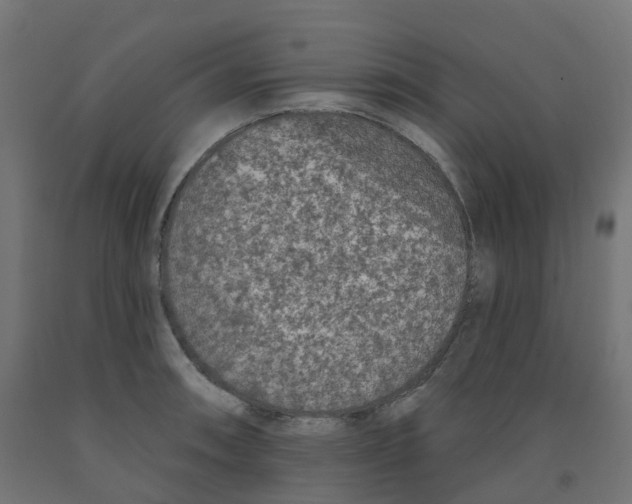 X0000091891090200710031757