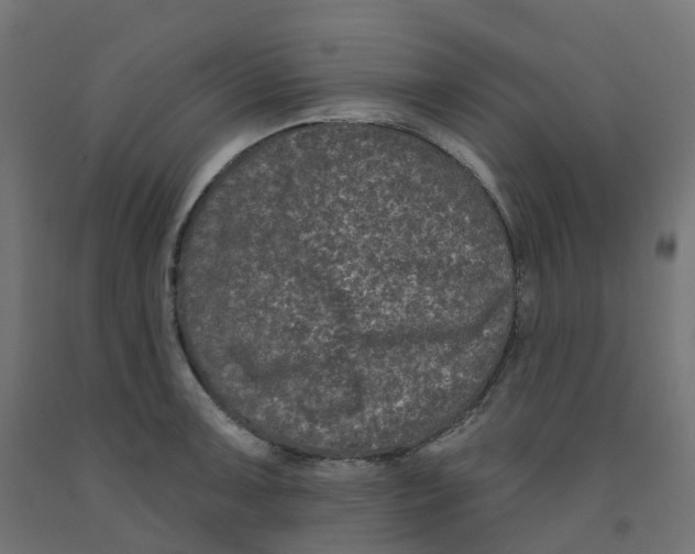 X0000091891091200710031757