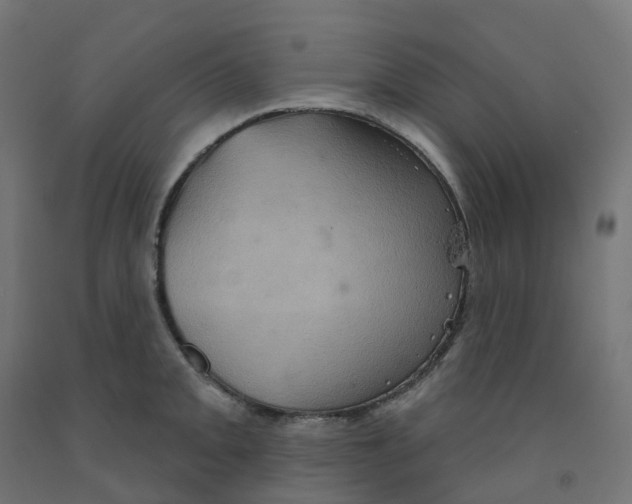 X0000091891093200710031757