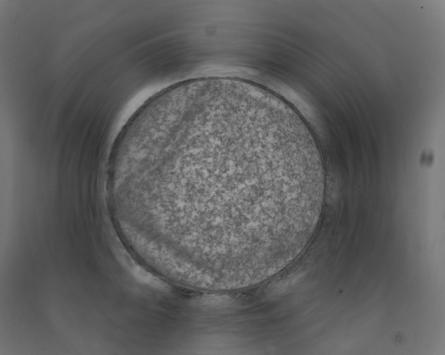 X0000091891094200710031757
