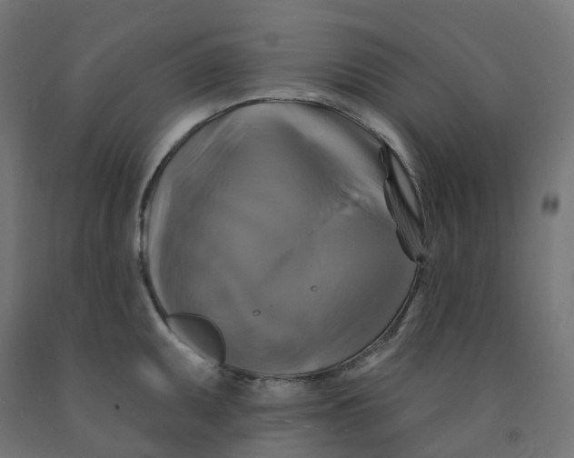 X0000091891095200710031757