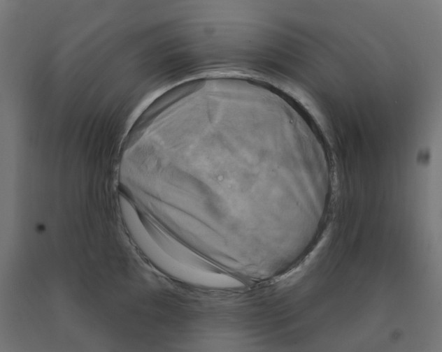 X0000091891097200710031757