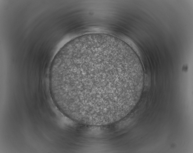 X0000091891098200710031757