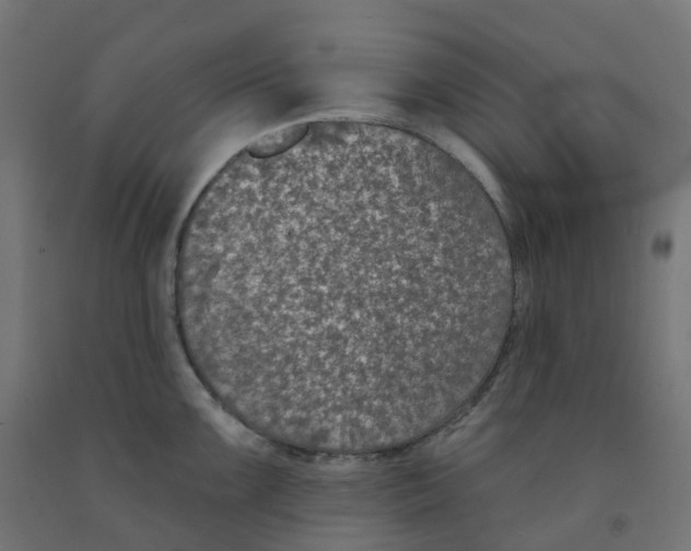 X0000091891099200710031757