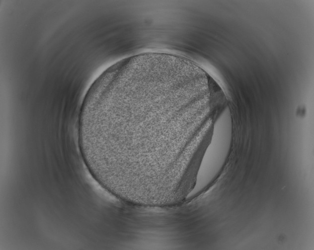 X0000091891100200710031757