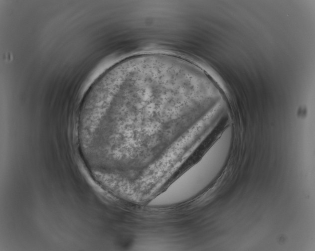 X0000091891101200710031757