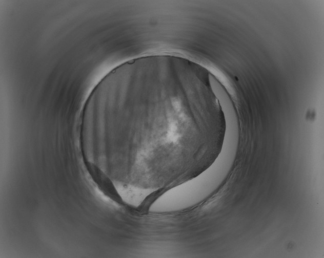 X0000091891102200710031757