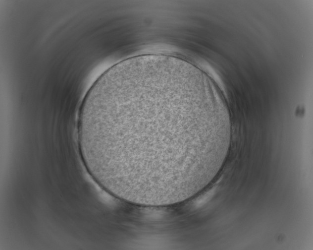 X0000091891103200710031757