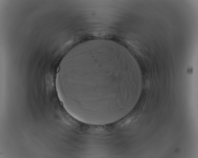 X0000091891106200710031756