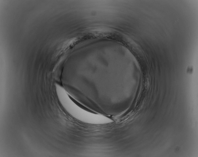 X0000091891108200710031756