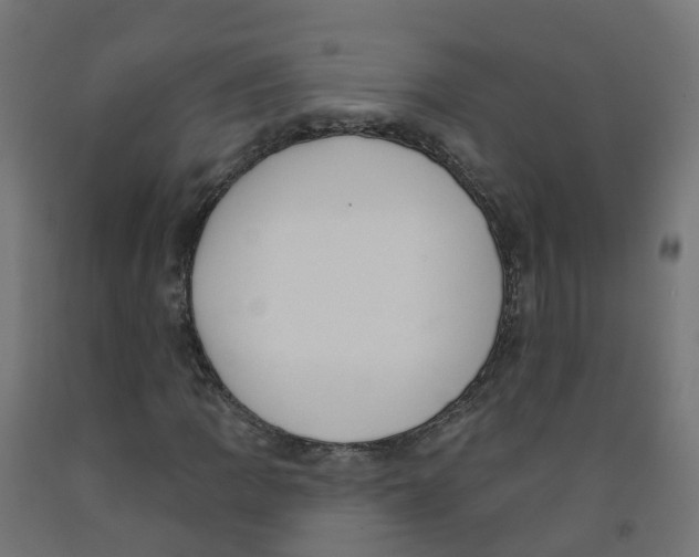 X0000091891109200710031756