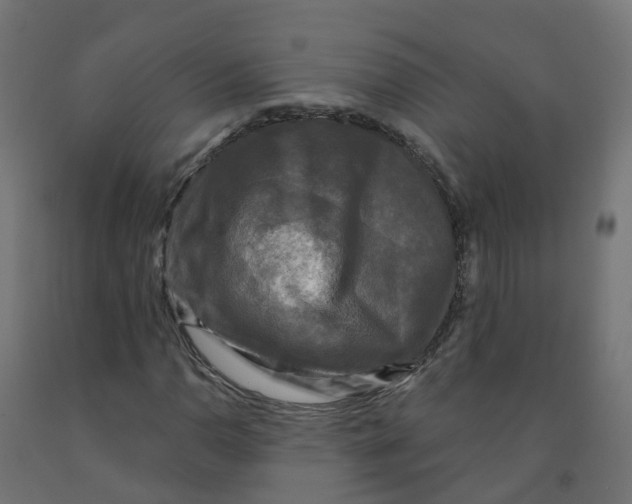 X0000091891110200710031756