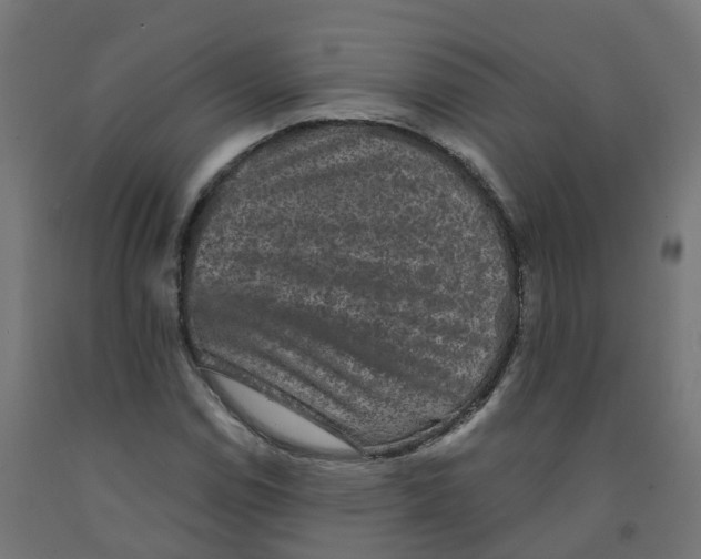 X0000091891114200710031756