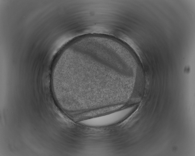 X0000091891115200710031756