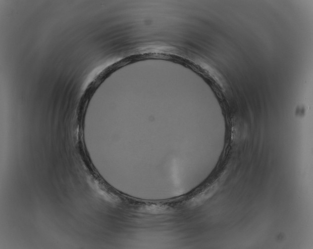 X0000091891117200710031756