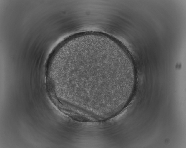 X0000091891118200710031756