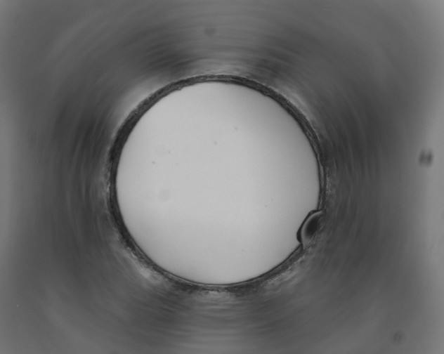 X0000091891119200710031756