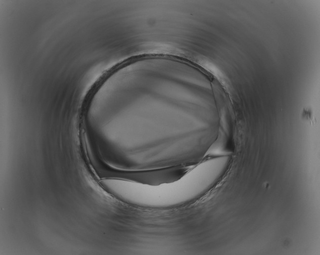 X0000091891120200710031756