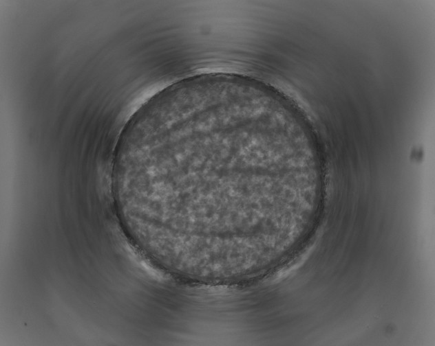 X0000091891121200710031756