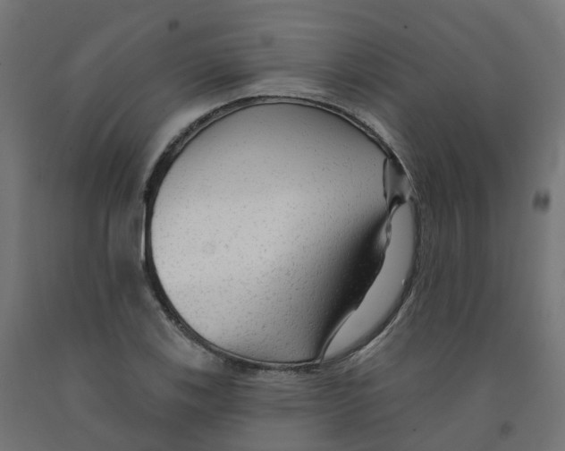 X0000091891123200710031756